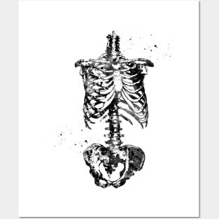 Skeleton Torso Posters and Art